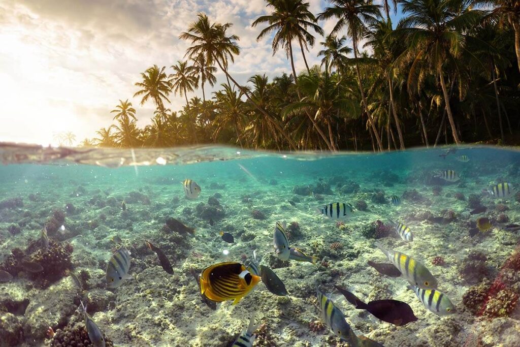California Travel Group